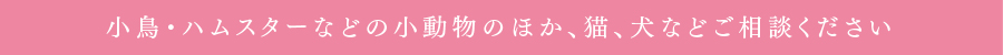 小鳥・ハムスターなどの小動物のほか、猫、犬などご相談ください。